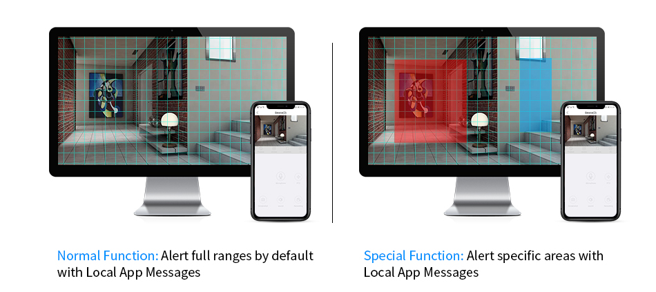 Detection Zones